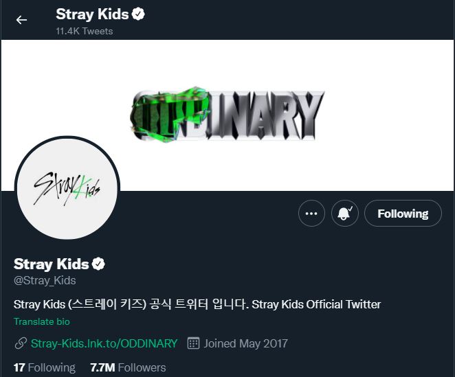 Stray Kids Twitter